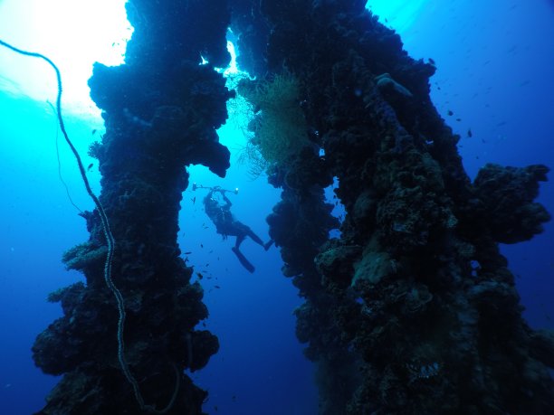 在帕劳群岛著名的“Iro”沉船上潜水。图片下载