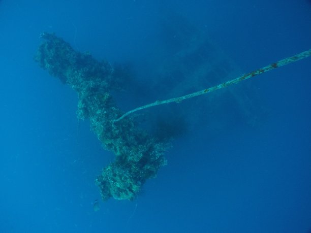 在帕劳群岛著名的“Iro”沉船上潜水。图片下载