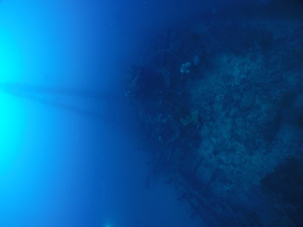 在帕劳群岛著名的“Iro”沉船上潜水。图片下载