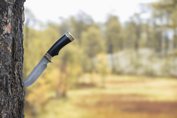 配刀卡在松树上了。登山设备。图片下载