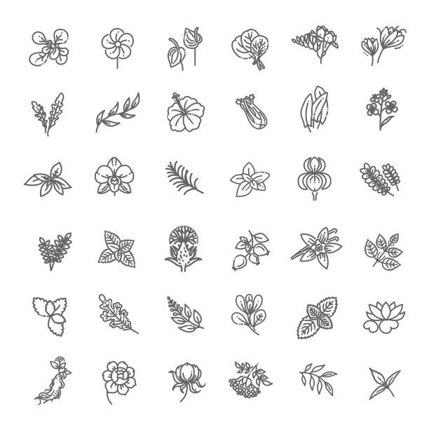 一套花卉和草本图标在平面设计图片下载