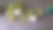 葡萄藤被做成墙上的装饰物图片下载