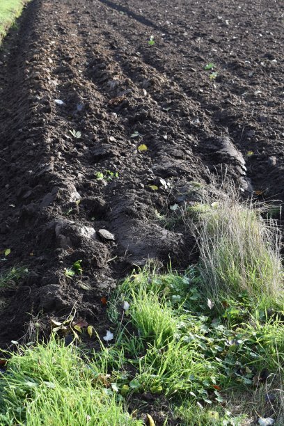 犁沟，犁沟犁沟和耕地的一部分图片下载