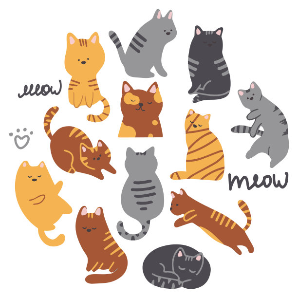 不同姿势的可爱猫咪。图片下载