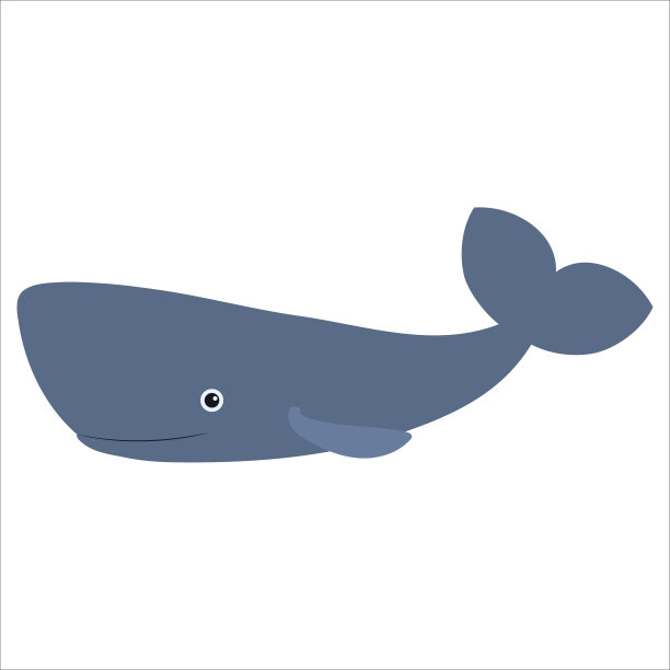 美丽的卡通插图与彩色的海洋动物抹香鲸或cachalot在白色的背景上印刷设计。孩子的图形。海洋水下生活。图片下载