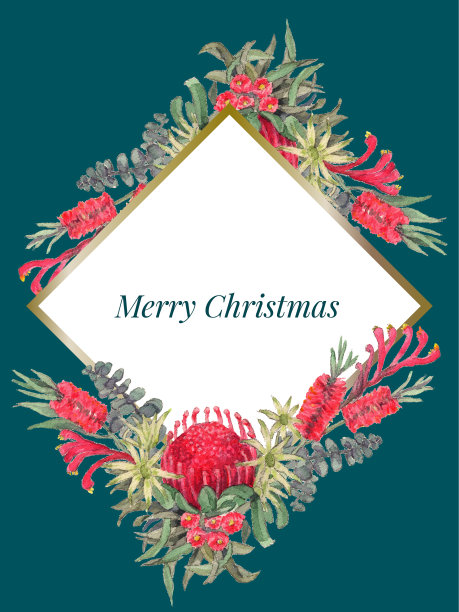 澳大利亚水彩画圣诞花环图片下载