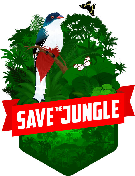 矢量丛林雨林象征着古巴疣虫和蝴蝶图片下载