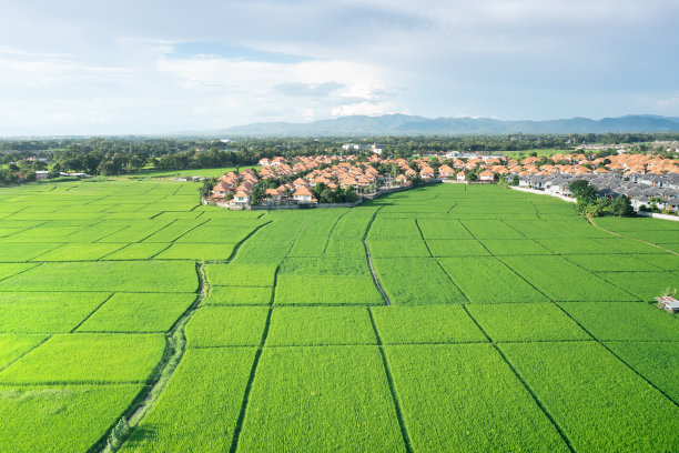 泰国清迈的绿地景观和鸟瞰图中的房屋建筑。图片下载