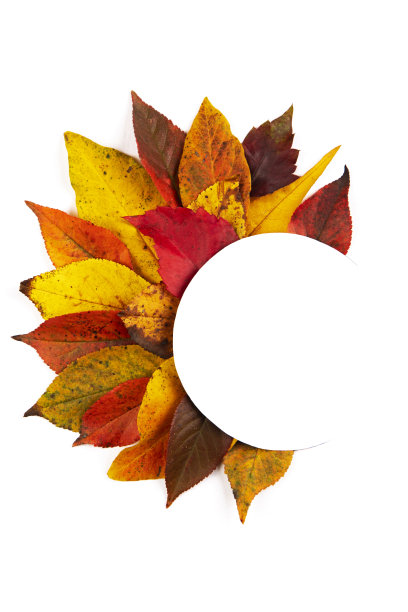 秋天的框架与复制空间图片下载