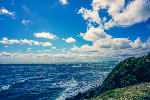 在一些灌木上看到了海洋和海滩。图片下载