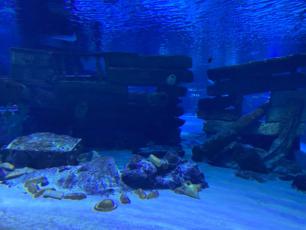 照片打开的宝藏箱与闪闪发光的金子水下图片下载