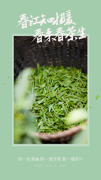 创意文艺摄影清新茶叶日签图片下载