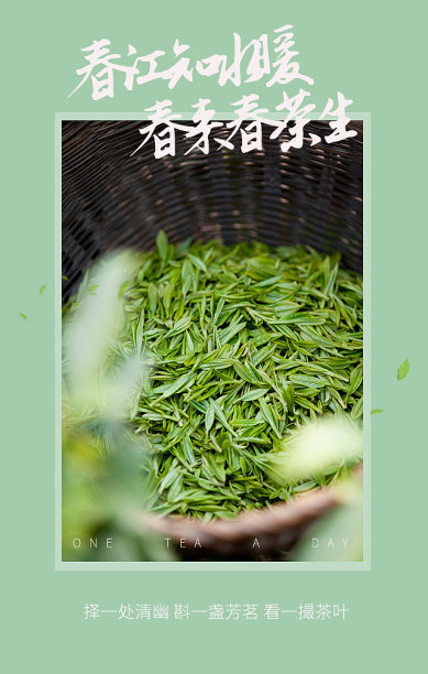 创意插画扁平茶叶手机海报图片下载