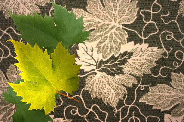 葡萄叶子秋季设计面料图片下载