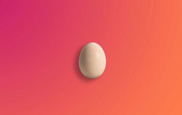 鸡蛋。鸡蛋的概念图片下载