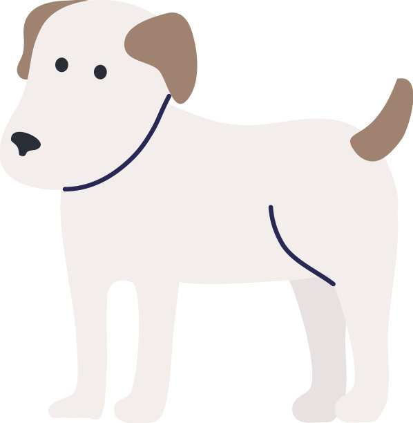 可爱的白色狗图片下载