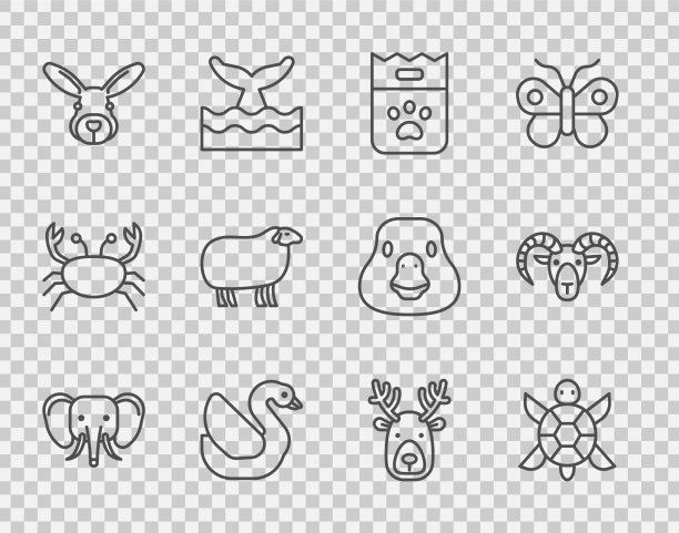 设线象龟食袋天鹅鸟图片下载