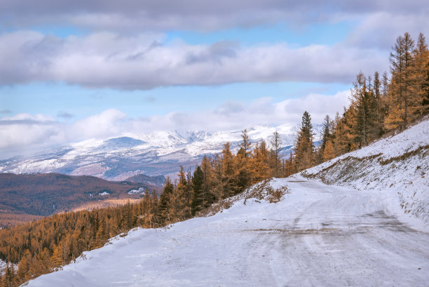 路土通山雪秋林图片下载