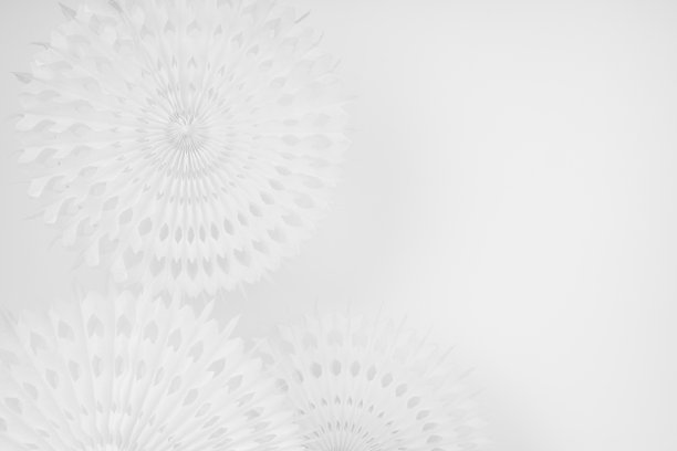 明亮的软光白色抽象背景与圆圈肋雕刻装饰在最小的几何风格，边界，复制空间。图片下载