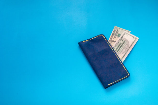 蓝色背景上有钱的钱包图片下载