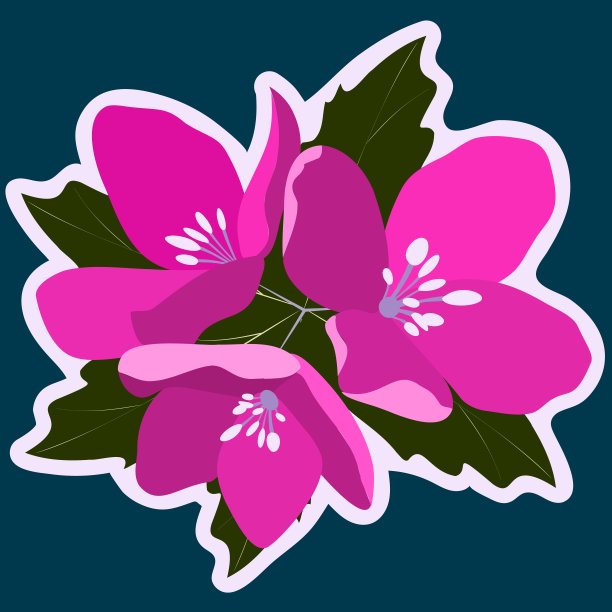 粉红色的花。社交媒体贴纸。设计元素。图片下载