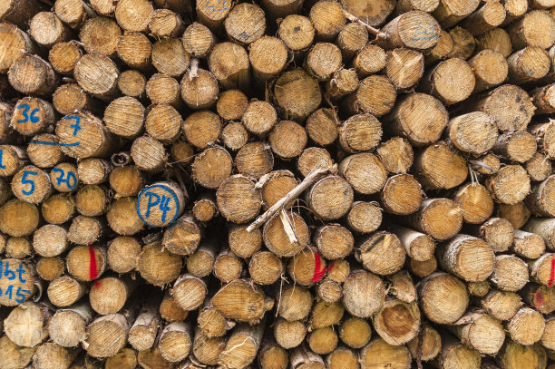 成堆的木头图片下载
