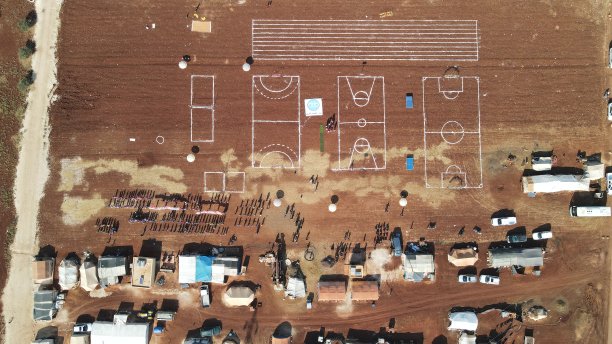 紫色组织图片下载