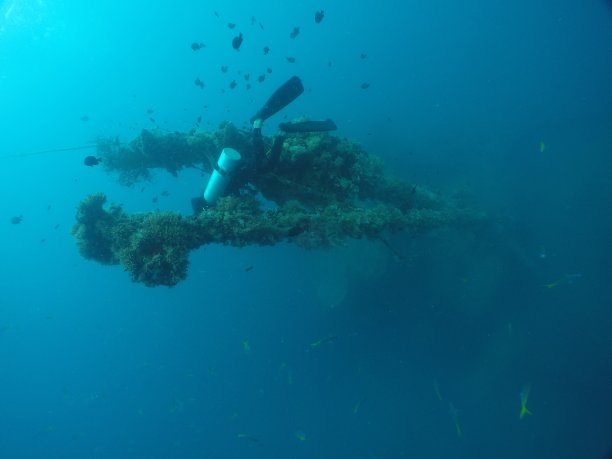 在帕劳群岛的沉船上潜水。图片下载