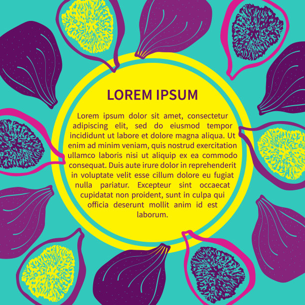 带无花果的素食模板。独创包装食品设计。图片下载