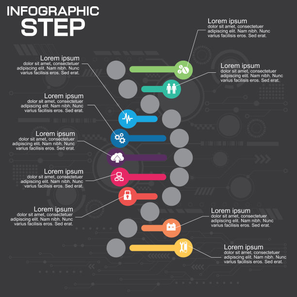 信息图形模板为商业，教育，网页设计，横幅，小册子，传单。矢量插图。图片下载