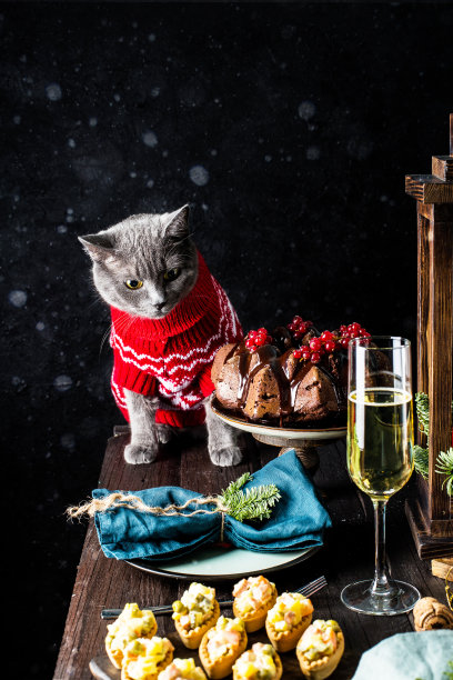 穿着圣诞红毛衣的灰猫在节日的餐桌上，有一个地方写着文字图片下载
