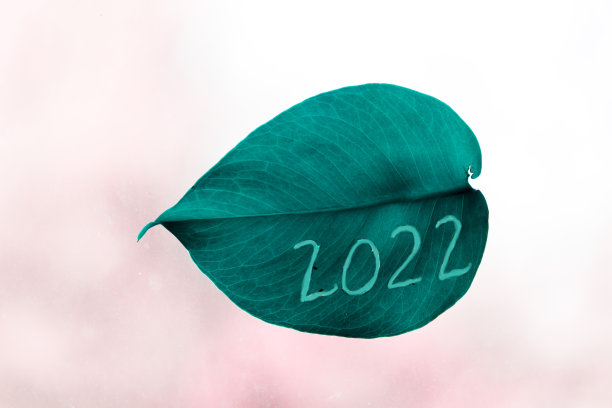 2022号。新年。2022这个数字被雕刻在一片绿色的怪兽树叶上。图片下载