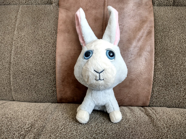 毛绒兔子在沙发上图片下载