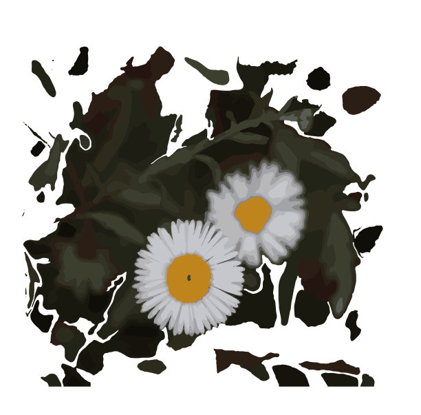 矢量插图的白花和白色的背景。图片下载