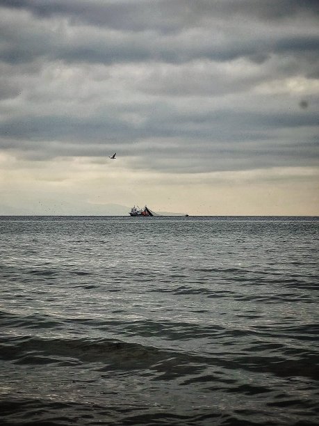 望着大海，远处有渔船图片下载