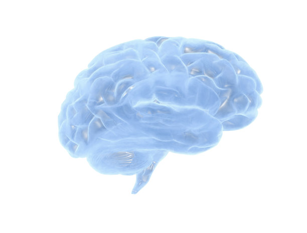 人脑数字绘画图片下载