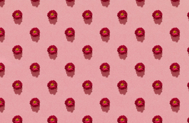 无缝图案的秋天的红色菊花在粉彩纸的背景。春季，复活节，夏季花卉概念。平面布局，俯视图。组成的花图片下载