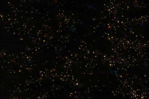 晚上户外的圣诞树上挂着五颜六色的圣诞彩灯。适合圣诞节或季节性背景。图片下载