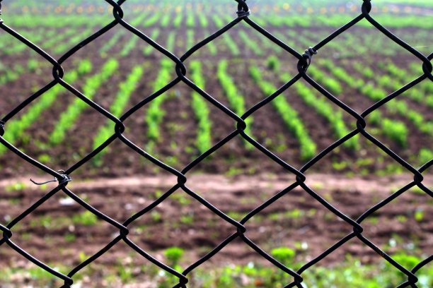 保护农业作物图片下载