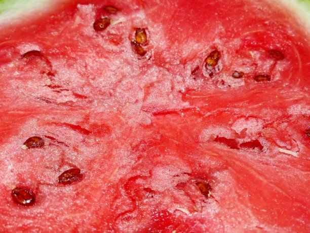 西瓜片。西瓜一般。早在古埃及，人们就已经知道并种植了西瓜。图片下载