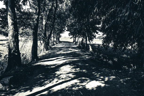 太阳和阴影的游戏图片下载