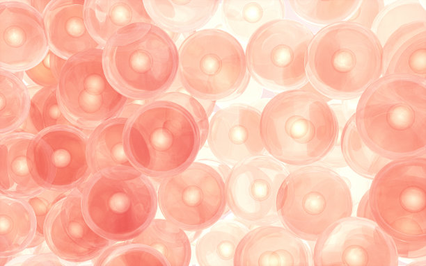 细胞结构，生物学概念，三维渲染。图片下载