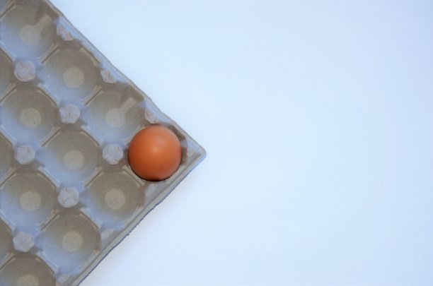 一个棕色的鸡蛋图片下载