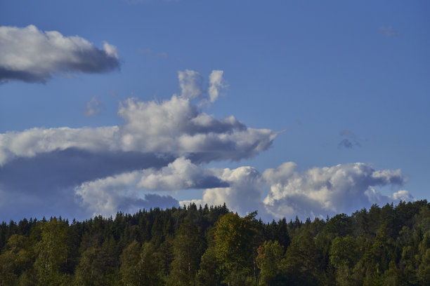 以动物云为背景的蓝色天空图片下载