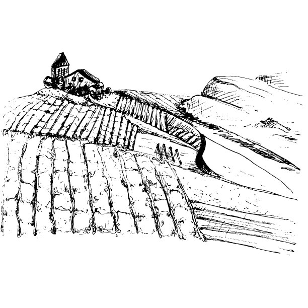 乡村景观，别墅和葡萄园。复古颜色孵化图片下载