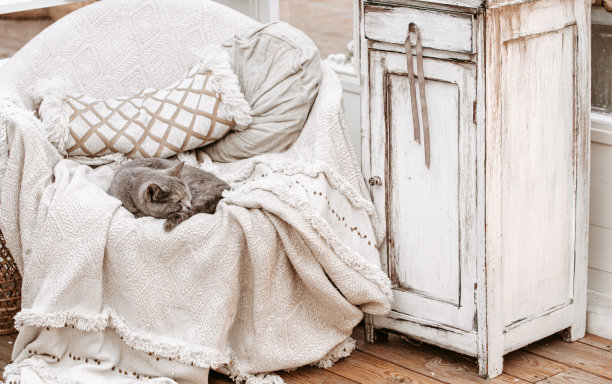 猫在破旧别致的椅子复古内饰图片下载