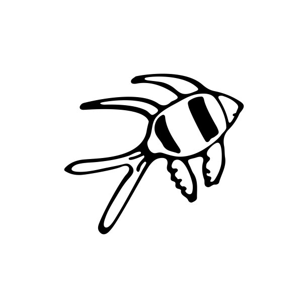 涂鸦海洋鱼类。珊瑚礁的居民。海洋动物，海底动物，水族馆动物。手绘细线艺术矢量插图。孤立的简单元素图片下载