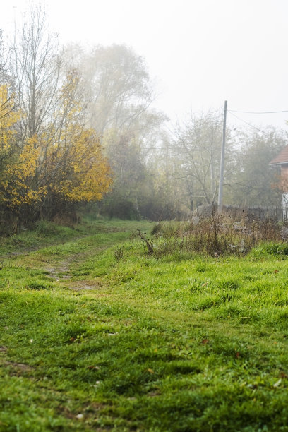 乡村的秋天早晨图片下载
