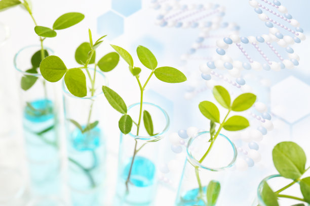 研究图像生物技术图片下载