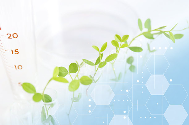 研究图像生物技术图片下载